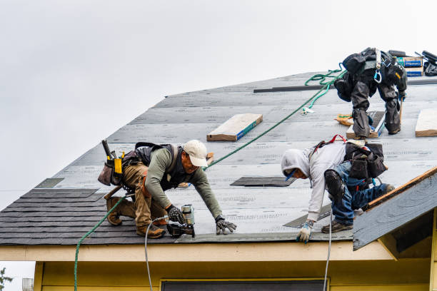 Professional Roof Installation technician working in Lafayette, MN